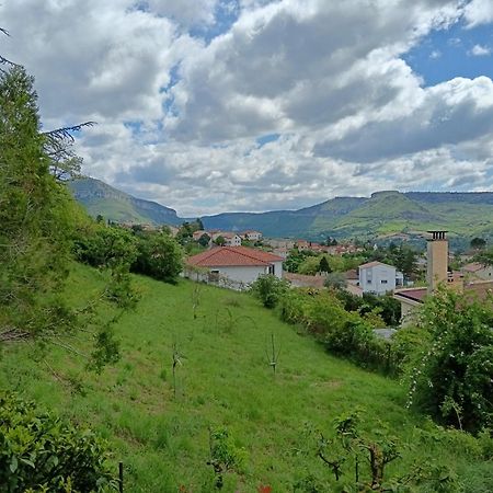 Gite Des Grands Causses Мийо Экстерьер фото